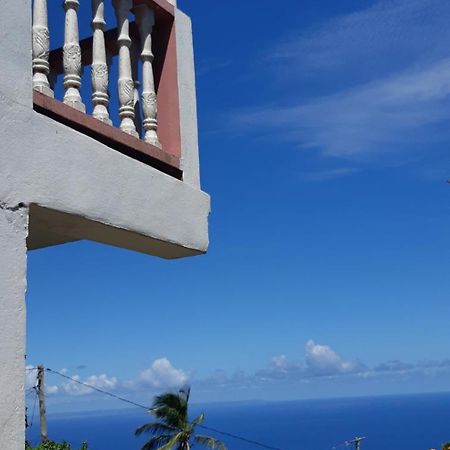 "Sunrise Inn" Nature Island Dominica Penville Extérieur photo