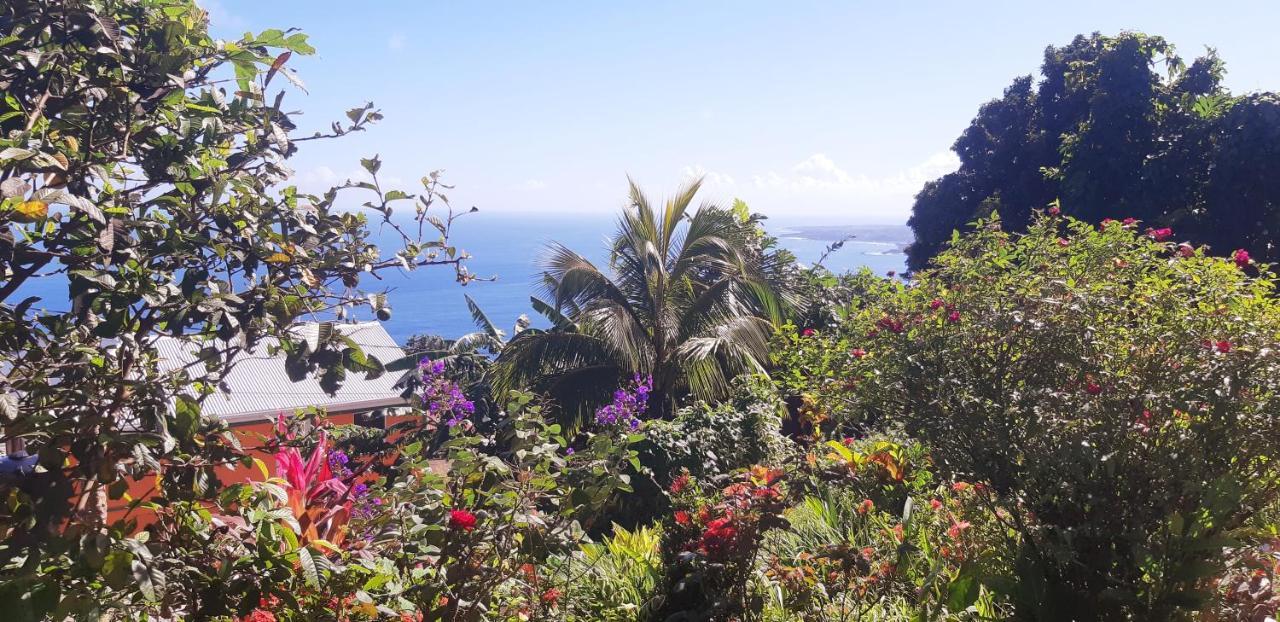 "Sunrise Inn" Nature Island Dominica Penville Extérieur photo