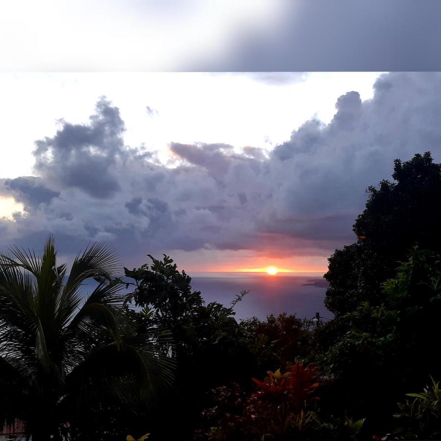 "Sunrise Inn" Nature Island Dominica Penville Extérieur photo