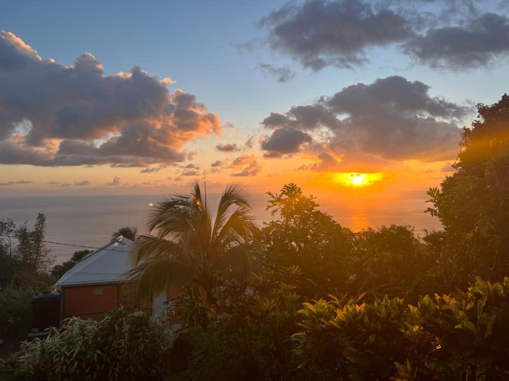 "Sunrise Inn" Nature Island Dominica Penville Extérieur photo