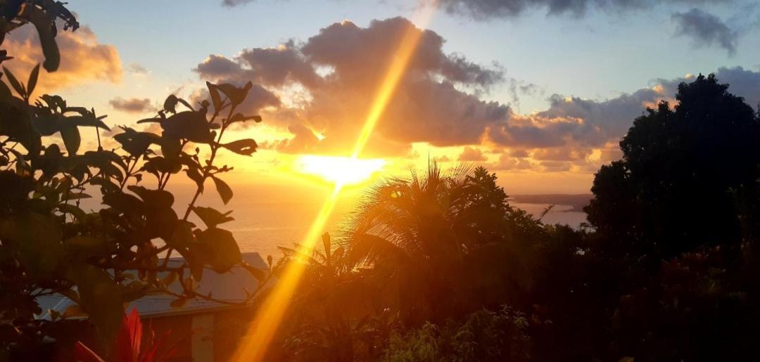 "Sunrise Inn" Nature Island Dominica Penville Extérieur photo