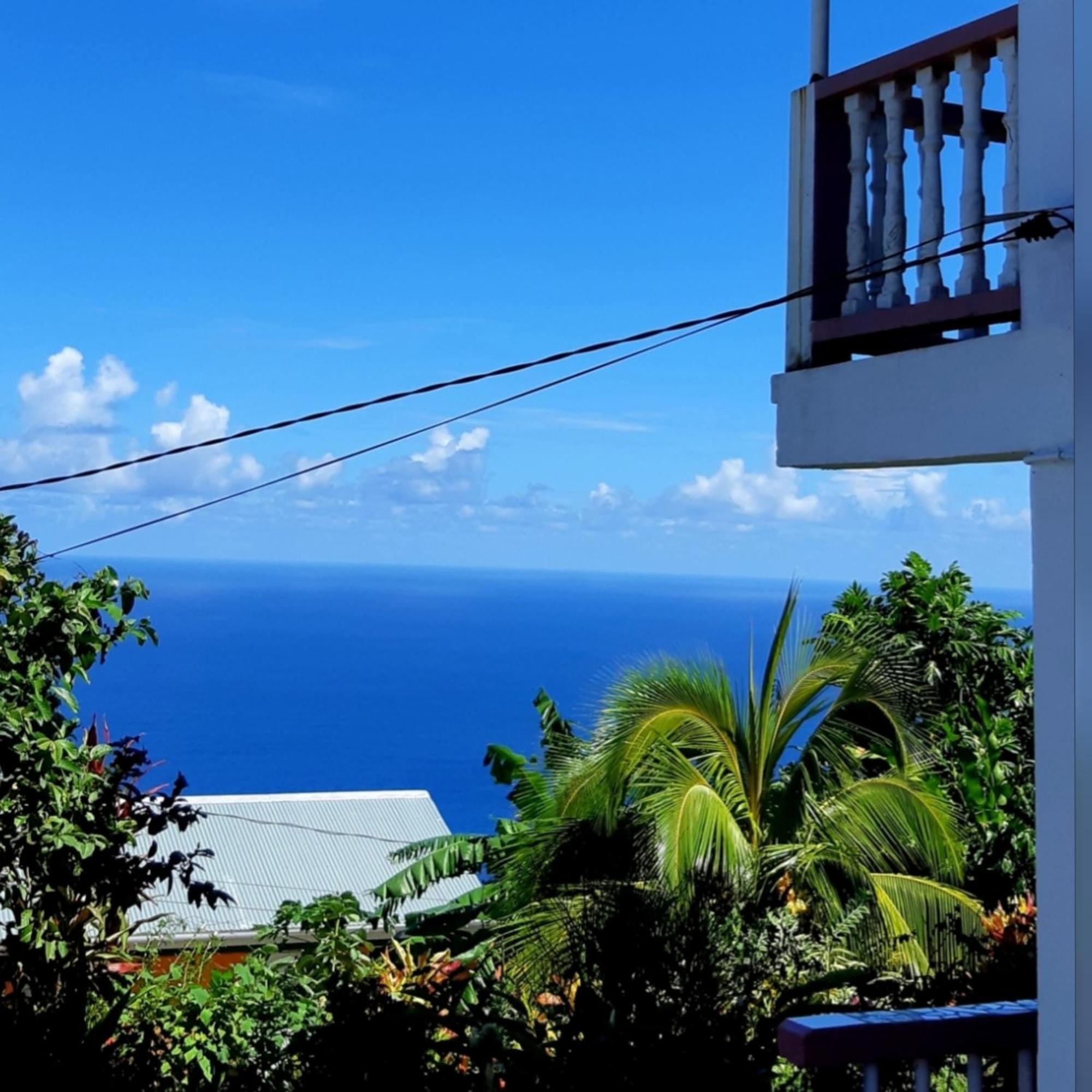 "Sunrise Inn" Nature Island Dominica Penville Extérieur photo